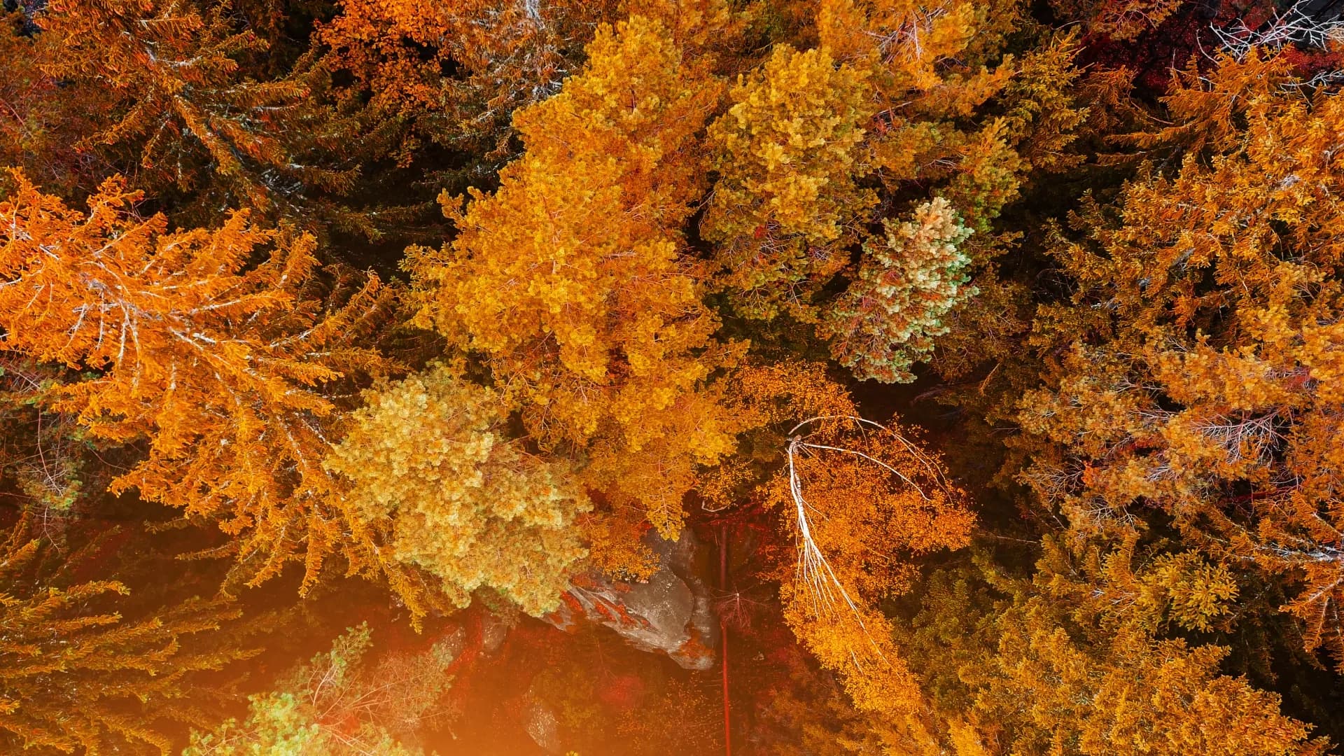 Herbstkranz