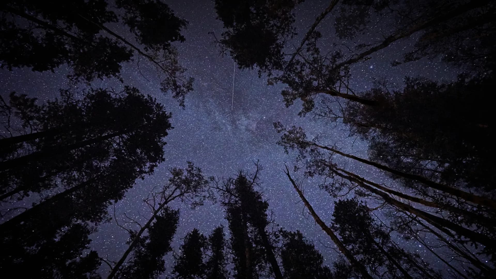 Mittsommernacht