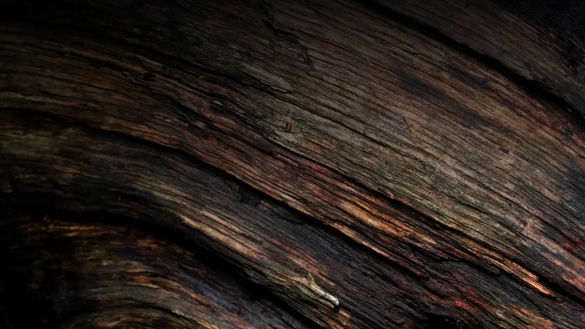 Teak & Mahagoni